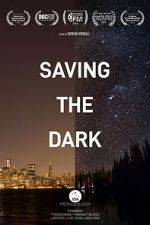 Saving the Dark