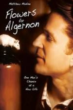 Flowers for Algernon