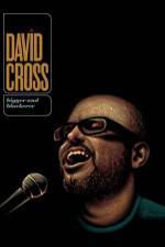 David Cross Bigger & Blackerer