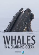 Whales in a Changing Ocean (Short 2021)