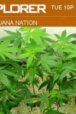 Marijuana Nation