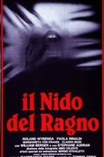 Il nido del ragno