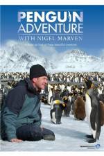 Penguin Adventure With Nigel Marven