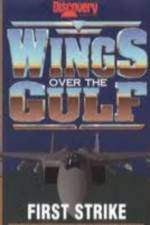 Wings Over the Gulf Vol  1  First Strike