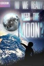 Do We Really Need the Moon?