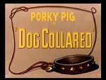 Dog Collared (Short 1950)