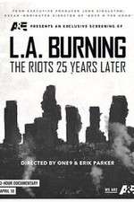 LA Burning