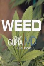 CNN Weed Sanjay Gupta Report