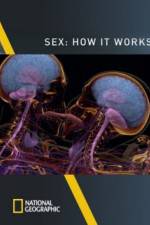 Sex How It Works