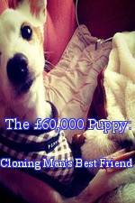 The 60,000 Puppy: Cloning Man's Best Friend