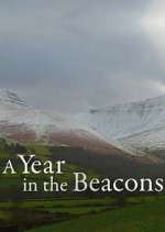 A Year in the Beacons