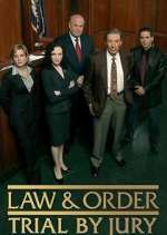 Law & Order: Trial by Jury