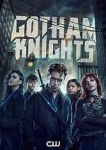 Gotham Knights