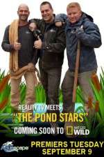 Pond Stars