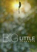 Big Little Journeys