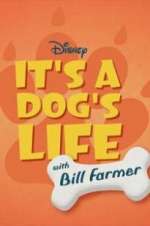 It\'s a Dog\'s Life with Bill Farmer