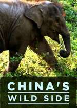 China's Wild Side