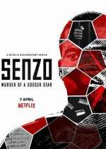 Senzo: Murder of a Soccer Star