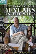 Attenborough 60 Years in the Wild