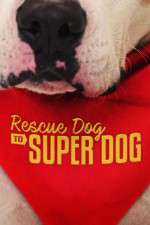 Rescue Dog to Super Dog (US)