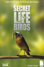 Iolo's Secret Life of Birds