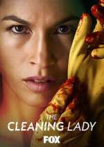 The Cleaning Lady