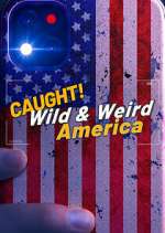 Wild & Weird America