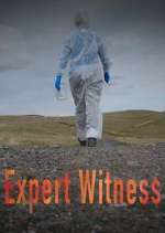 Expert Witness