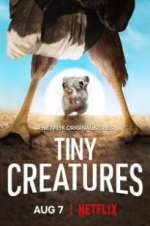 Tiny Creatures