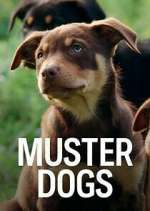 S3 E1 Muster Dogs Season 3 Episode 1