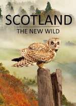 Scotland - The New Wild