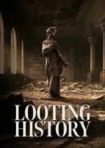 Looting History