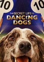 The Secret Life of Dancing Dogs